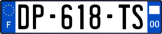 DP-618-TS