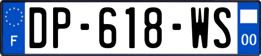 DP-618-WS