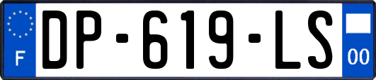 DP-619-LS