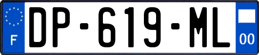 DP-619-ML