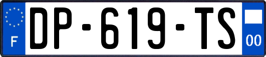 DP-619-TS