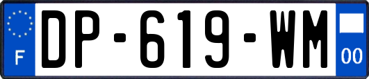 DP-619-WM