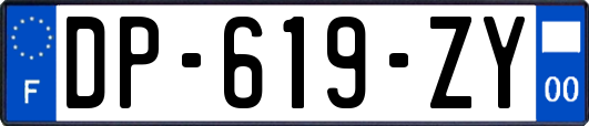 DP-619-ZY