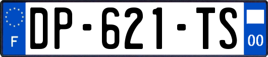 DP-621-TS