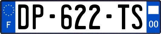 DP-622-TS