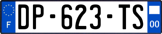 DP-623-TS