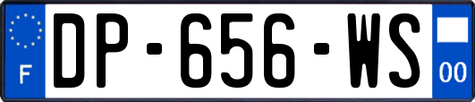 DP-656-WS