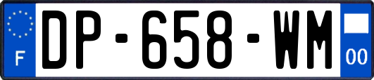 DP-658-WM