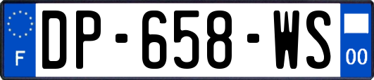 DP-658-WS