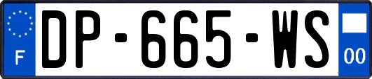 DP-665-WS