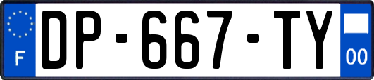 DP-667-TY