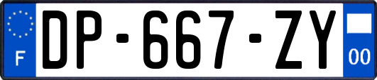 DP-667-ZY