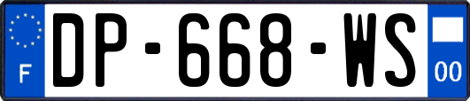 DP-668-WS