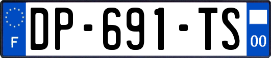 DP-691-TS
