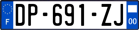 DP-691-ZJ