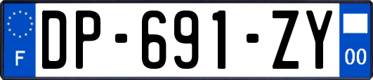 DP-691-ZY