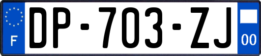 DP-703-ZJ