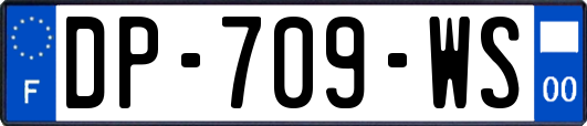 DP-709-WS