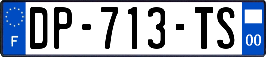 DP-713-TS