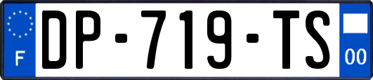 DP-719-TS