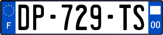 DP-729-TS