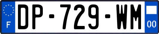 DP-729-WM