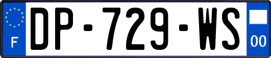 DP-729-WS