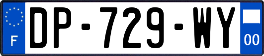 DP-729-WY