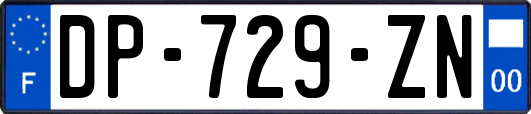 DP-729-ZN