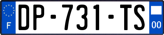 DP-731-TS