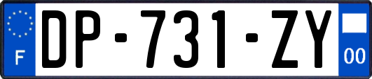 DP-731-ZY