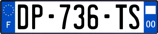 DP-736-TS
