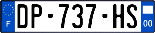 DP-737-HS