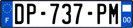 DP-737-PM