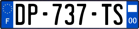 DP-737-TS