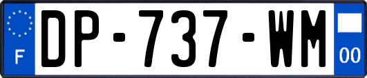 DP-737-WM