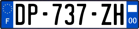 DP-737-ZH