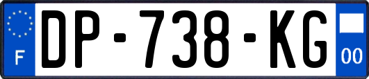 DP-738-KG