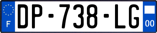 DP-738-LG