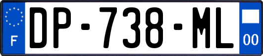 DP-738-ML