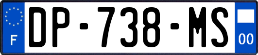 DP-738-MS