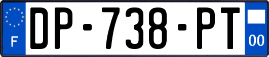 DP-738-PT