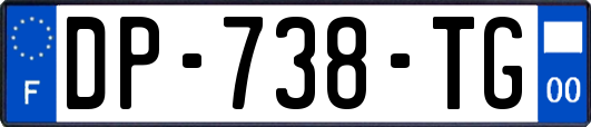DP-738-TG