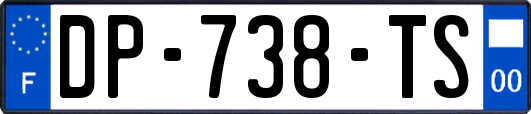 DP-738-TS