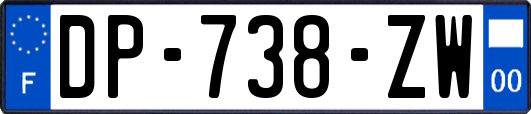 DP-738-ZW