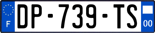 DP-739-TS