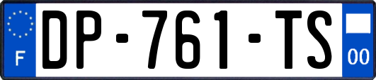 DP-761-TS