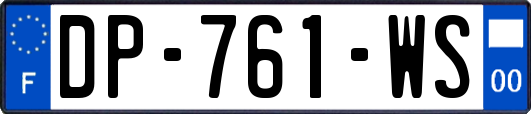 DP-761-WS