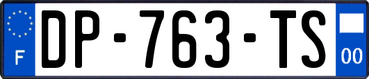 DP-763-TS