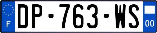 DP-763-WS